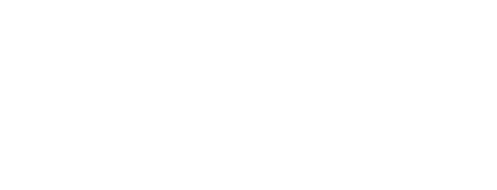logo bni